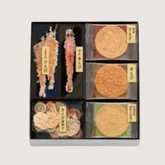 のんちゃん様　専用