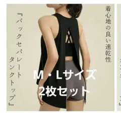 Item thumbnail for item 686de587-15d5-4d07-ac70-b8f73cdfcabc