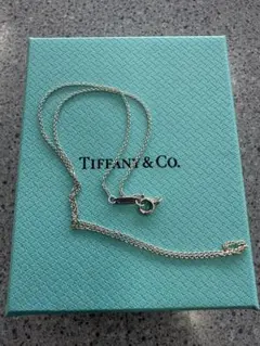 現行品Tiffanyティファニー　チェーンネックレス　Ag925 40cm 現行品Tiffanyティファニー チェーンネックレス Ag925 40cm - メルカリ