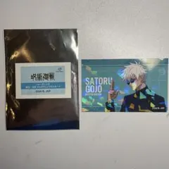 呪術廻戦 懐玉・玉折 五条悟 トレーディング ホログラムイラストカード