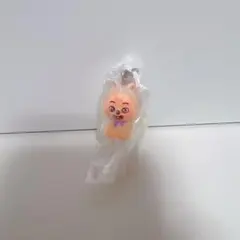 skzoo ハンクォッカ　めじるしアクセサリー