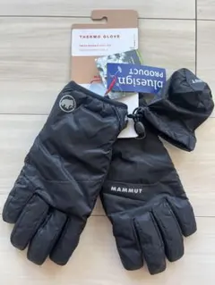 Item thumbnail for item 23a3869c-bedd-4959-aa0a-56b397c37512