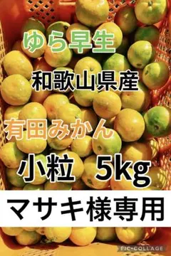 【マサキ様 専用】有田みかん ゆら早生 小玉 5kg