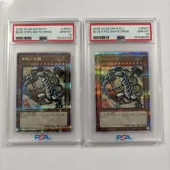 青眼の白龍 東京ドームブルーアイズホワイトドラゴン 連番 ブラック