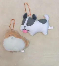 2026年最新】つぶらな瞳の犬と猫の人気アイテム - メルカリ