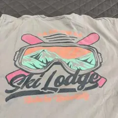 古着 コンフォートカラーズ Auburn Ski Lodge ポケT Lのサムネイル