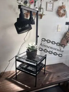 2026年最新】アガベ棚の人気アイテム - メルカリ