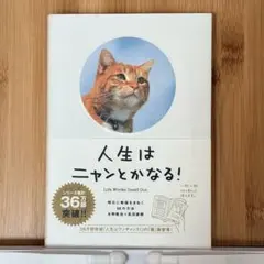 Item thumbnail for item 6ea69c08-ca0f-4a81-ab85-ef71ccab8551