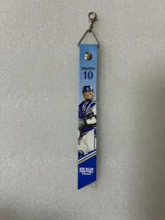 横浜DeNAベイスターズ 戸柱恭孝選手 ボンフィン