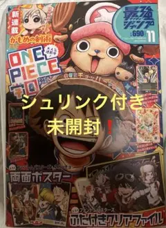 現状最安値❗️(シュリンク付き未開封)最強ジャンプ11月号