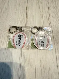 第107回全国高校野球選手権大会　ボールキーホルダー　叡明高校　2個セット