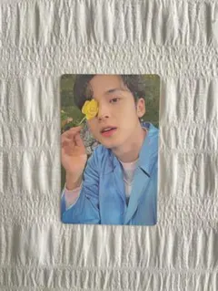 seventeen sector17 ミンギュ トレカ