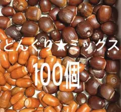 どんぐり★ミックス100個