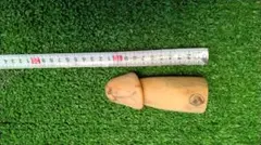 木彫りハンドメイド シフトノブ 男根 ワンオフ デコトラ 日野 ふそう 
