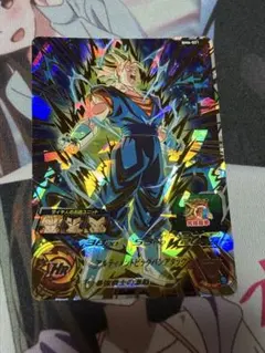 BM6-021 ベジット