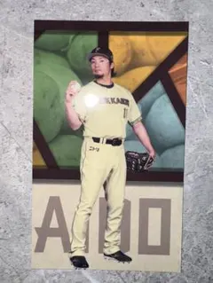 オールドサマーシリーズ カルビープロ野球チップススペシャル復刻
