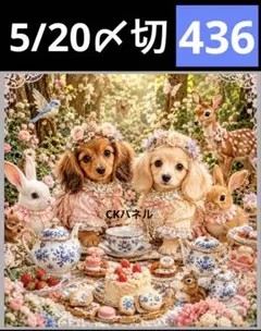 新柄♥️期間限定レアパネル生地 猫パネル生地 6柄セット CKパネル