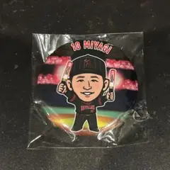 Item thumbnail for item 9c2d54d7-c487-453b-ae63-252fbdd6b1c0