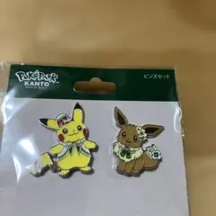 ポケパーク カントー 限定 ピンズ キーホルダー セット ピカチュウ