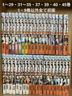 ハイキュー ‼︎ コミック 1〜45巻(抜けあり)、排球本