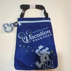新品 東京ディズニーリゾート ミッキー ポーチ