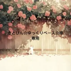さとぴん☆ゆっくりペース☆ 様　専用