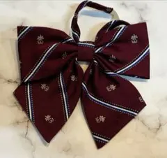 Item thumbnail for item 16e042ac-cb4e-4d51-89f0-f8f5cb3ff786