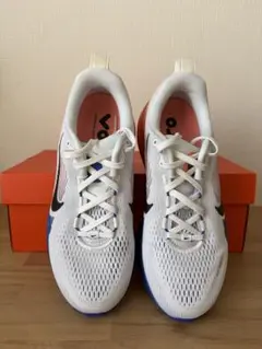 NIKE Vomero 18 ボメロ18 HM6803-114 24cm