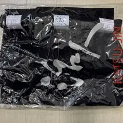 Item thumbnail for item 7ea60880-a893-48f8-8d46-00315072676a