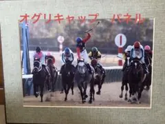 2026年最新】オグリキャップ 有馬記念 パネルの人気アイテム - メルカリ