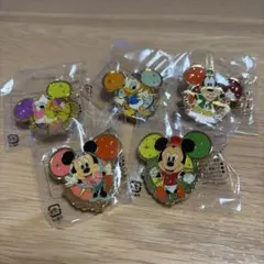 TDS ディズニーシー 5周年 ピンバッジ 5個セット