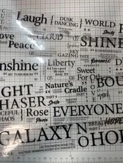 Item thumbnail for item 255f2cbb-fb64-4074-9d94-74c4ff318998