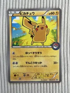 ピカチュウ：スペシャルBOX メガリザードンXのポンチョを着た