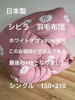 冬用 新品【シビラ】羽毛布団（150×210）シングル（モリノ）ブルー