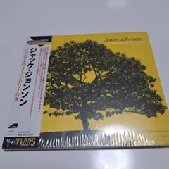 ジャックジョンソン　インビトウィーンドリームス