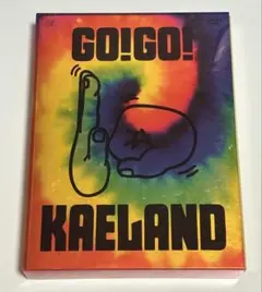 木村カエラ GO!GO!KAELAND 2014 初回限定盤 4枚組 DVD