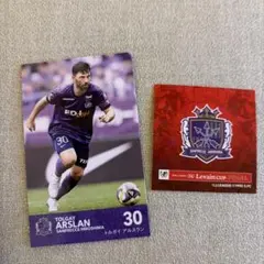 ルヴァンカップ 記念グッズ