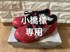 希少品ASICS 安全靴 FIS33L 25cm レッド　新品未使用品 タグ付き 希少品ASICS 安全靴 FIS33L 25cm レッド 新品未使用品 タグ付き