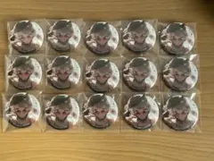 プロセカ グリ缶 44B 小豆沢こはね