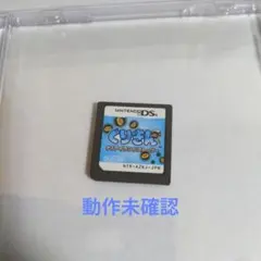 くりきん　ナノアイランドストーリー　ニンテンドーDS　ソフトのみ