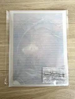 【鬼滅の刃】五弾KV WEBSHOPくじ A賞ビッグレイヤードアクリルパネル善逸