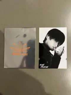 SnowMan 向井康二 公式トレカカード