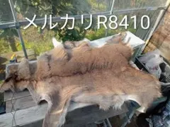 2026年最新】鹿 ラグ 毛皮の人気アイテム - メルカリ