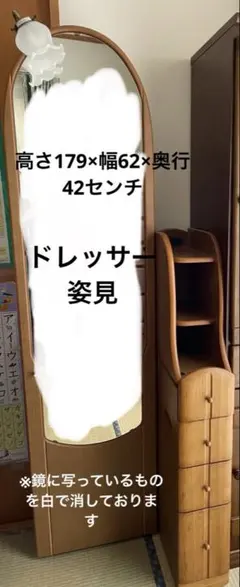 ニトリ 姿見 ドレッサー 完成品 収納付き 鏡の裏収納 高さ179センチ