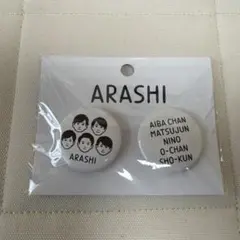 嵐を旅する展覧会　缶バッジ(イラストB)