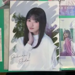 乃木坂46 遠藤さくら 福袋 ファイル ミニタオル