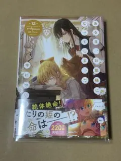 ★ある日、お姫様になってしまった件について★Spoon Plutus １２巻