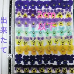 かいまろ様 リクエスト 10点 まとめ商品