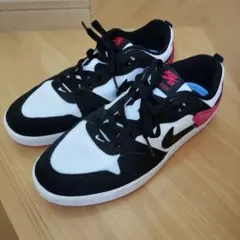 ナイキ SB アリウープ　ナイキスニーカー　サイズ26センチ