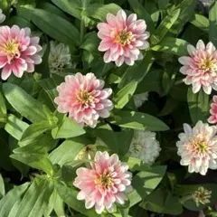 NOB様 リクエスト 3点 まとめ商品